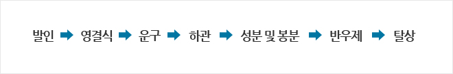 장례 3일차